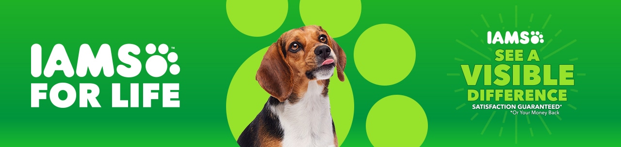 iams for life