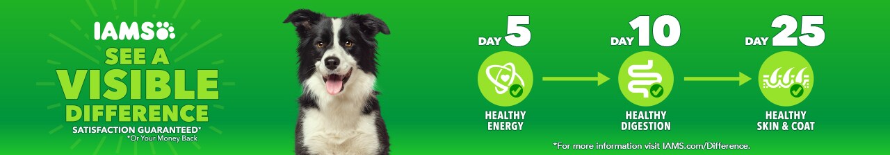 IAMs see a visible difference