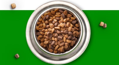  IAMs Dry Dog Food