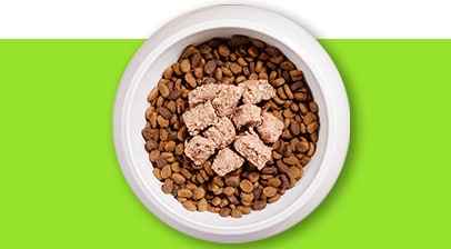 IAMs Wet Dog Food