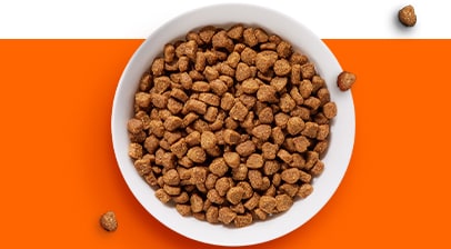 IAMs Dry Cat Food