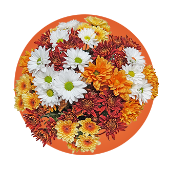 Fall Bouquet