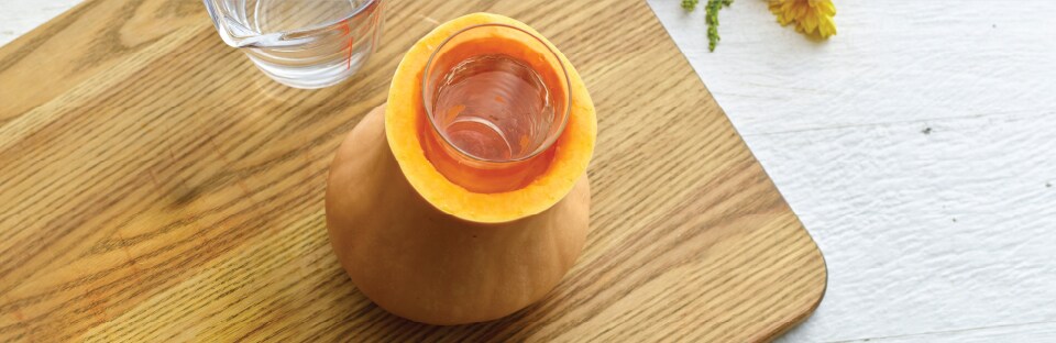 Butternut Image 3