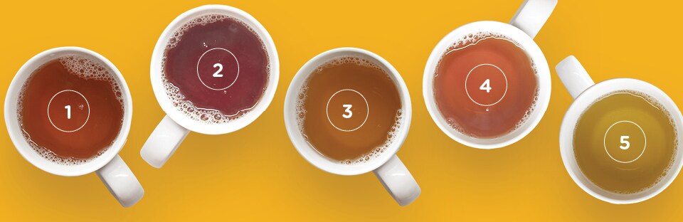 5 tea cups overhead showing each tea variety