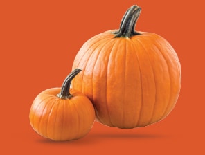 Two pumpkins