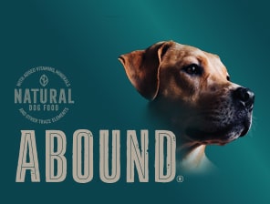 Abound superfood blend cheap