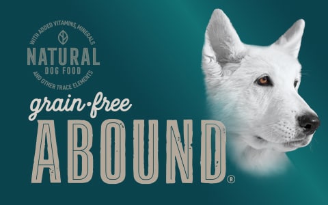 Abound dog hotsell food petsmart