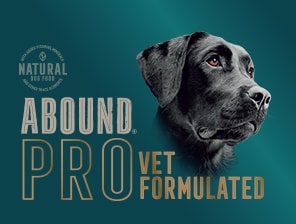 Abound natural dog food cheap
