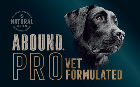 Abound superfood blend clearance