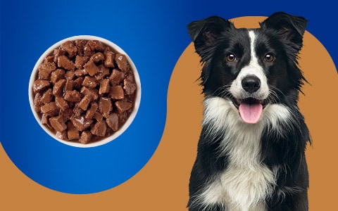 Kroger brand dog food top