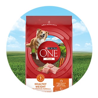 Kroger purina one clearance dog food