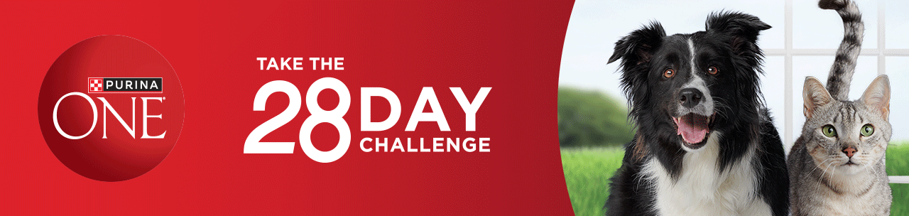 28 day challenge purina outlet