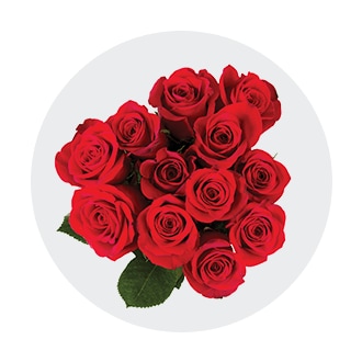  Write a Rose Beautiful Red Rose with Happy Birthday Message, Fresh Cut Flower, Single Rose