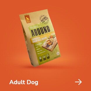 pet store near kroger