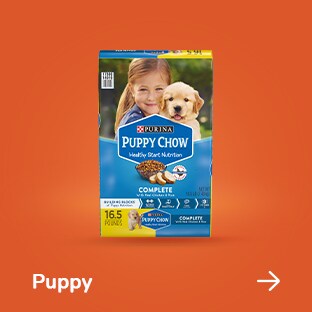 pet store near kroger
