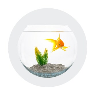pet food toys supplies kroger