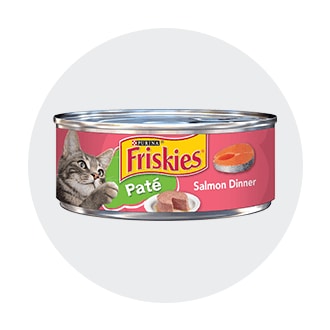 cat food stores near me