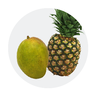 https://www.kroger.com/content/v2/binary/image/department/produce/imageset_tropicals_icon_06-14--5219483_p5w4_dx_2023_p5w4_produce-page-icon-update_icon_pineapple-mango__330.png