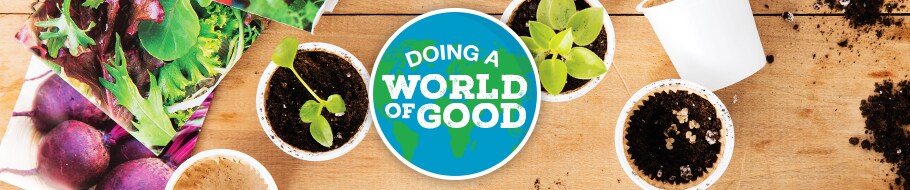 Sustainability Lives Here