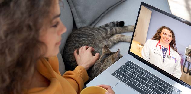 Schedule a Virtual Visit Schedule a Virtual Visit