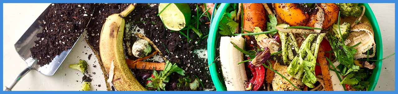 Steps to Successful Composting at Home