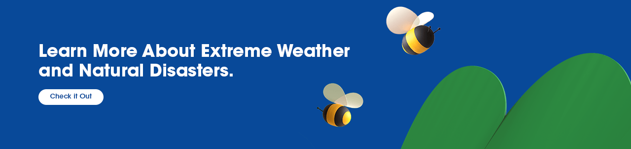 Extreme Weather Hub