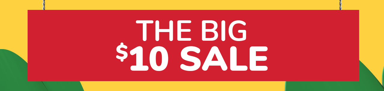 The Big $10 Sale