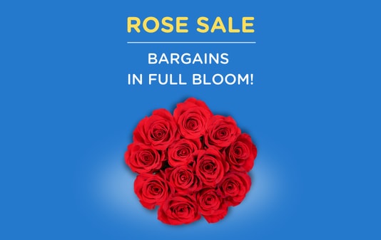 Shop the Rose Sale