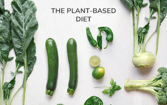 Plant-Based Ingredients & Meal Ideas