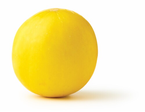 Golden Honeydew Melon Perspective: back