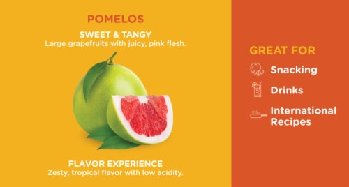 Pummelo Grapefruit Perspective: back
