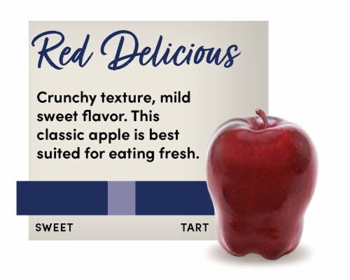 Extra Large Red Delicious Apples Perspective: back