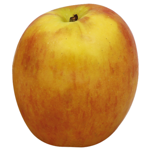 Large Jazz Apples Perspective: back