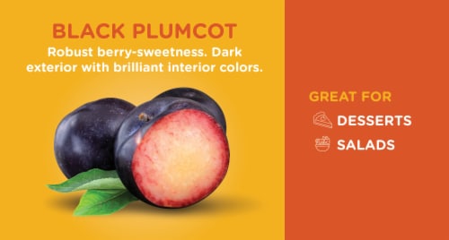 Black Plumcots Perspective: back