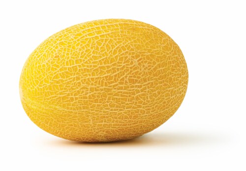 Hami Melon Perspective: back