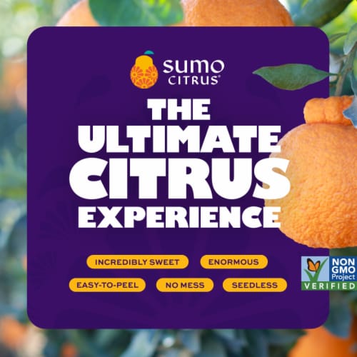 Sumo Citrus® Mandarin Orange Perspective: back