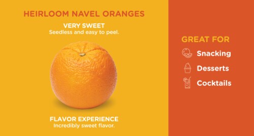 Large Heirloom Navel Oranges Perspective: back