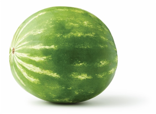 Seedless Whole Watermelon Perspective: back