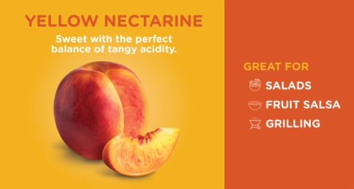 Fresh Yellow Nectarine Perspective: back