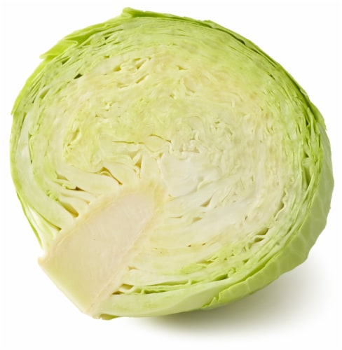 Green Cabbage Perspective: back