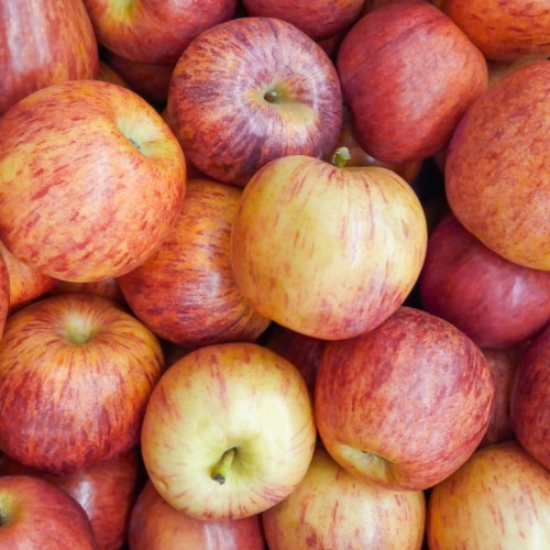 Large Gala Apple - Each Perspective: back