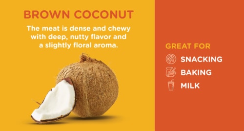Fresh Brown Coconuts