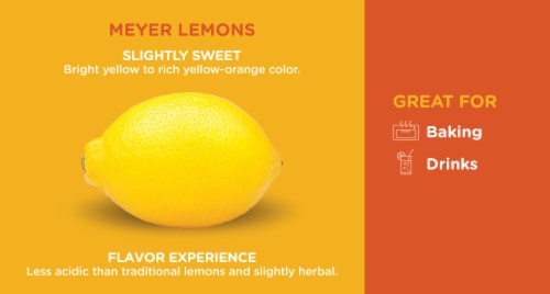 Fresh Meyer Lemons - Each Perspective: back