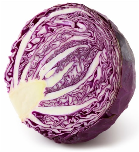Red Cabbage Perspective: back