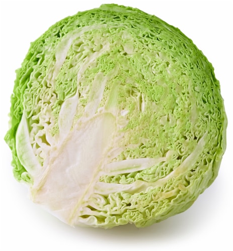 Green Savoy Cabbage Perspective: back