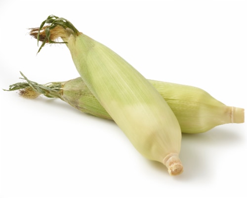 Corn on the Cob Perspective: back