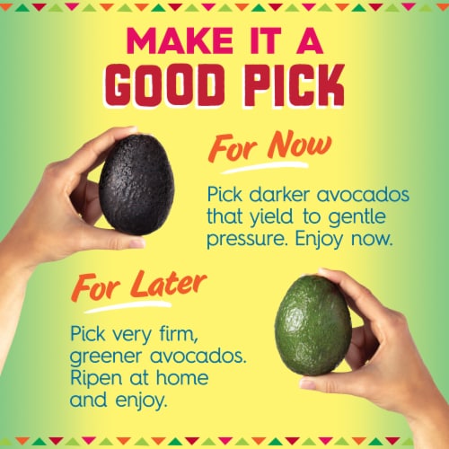 Jumbo / Extra Large Ripe Avocado Perspective: back