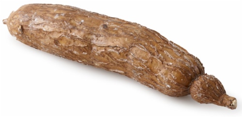 Yuca Root Perspective: back