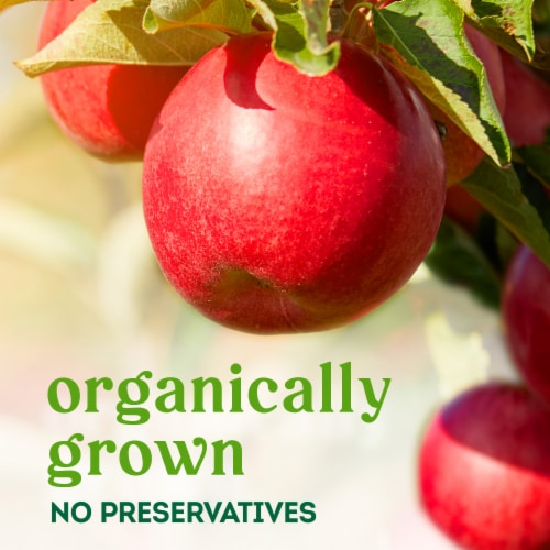 Simple Truth Organic™ Honeycrisp Apples Perspective: back