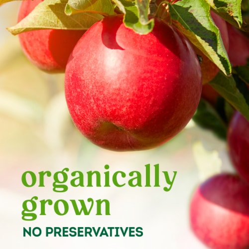 Organic Large Gala Apple – Each Perspective: back